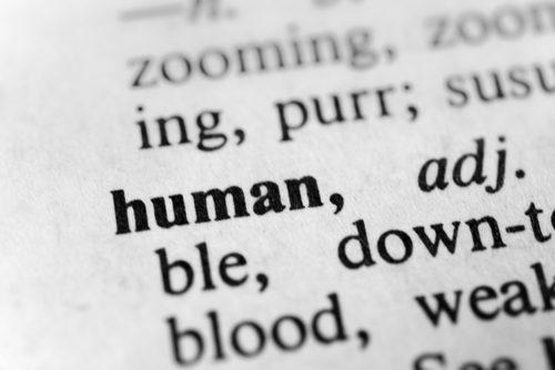 THE PROVERBS 31 HUMAN cover image
