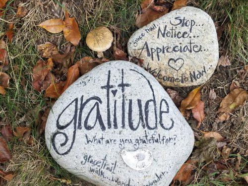 A Grateful Heart cover image