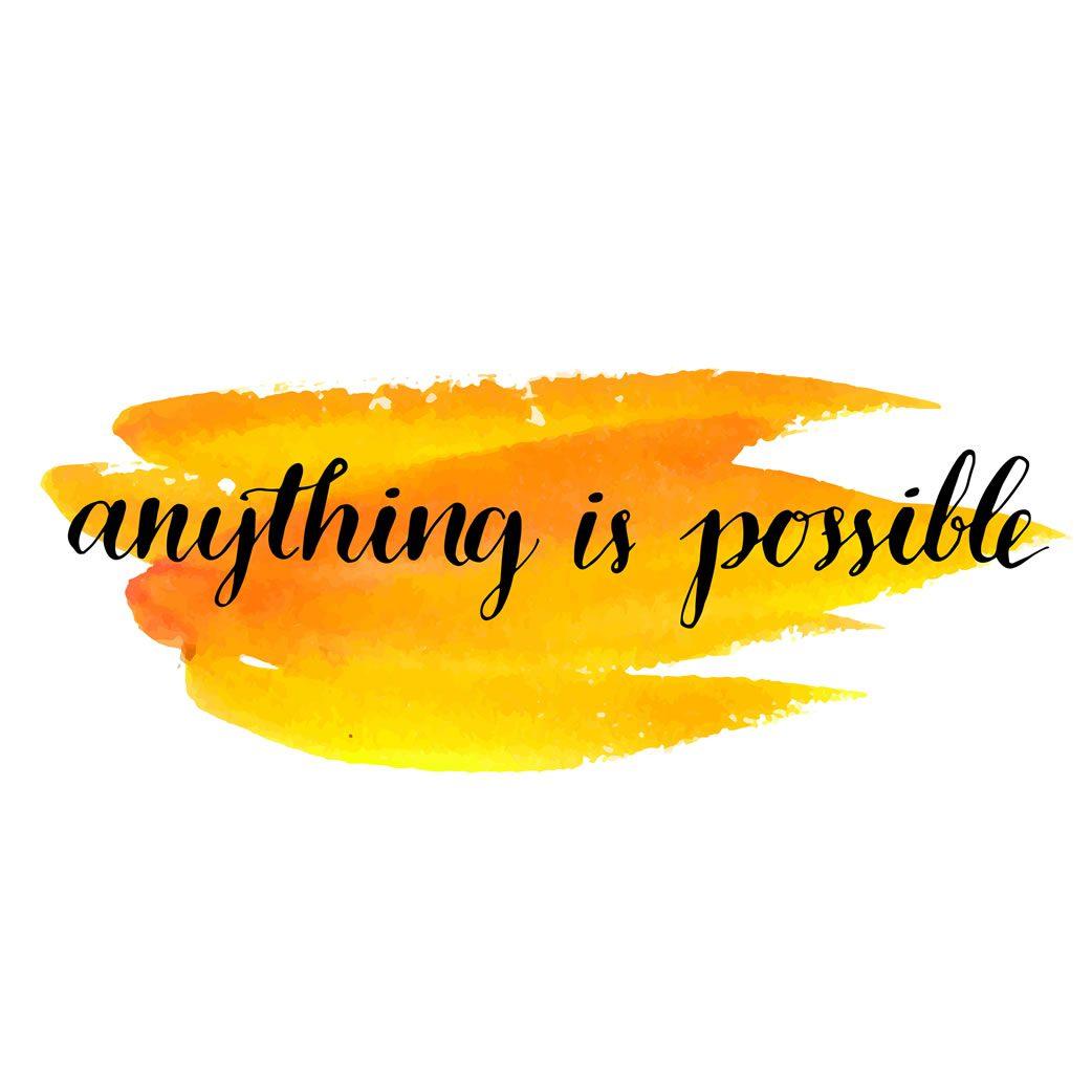 ANYTHING IS POSSIBLE...JUST BELIEVE cover image