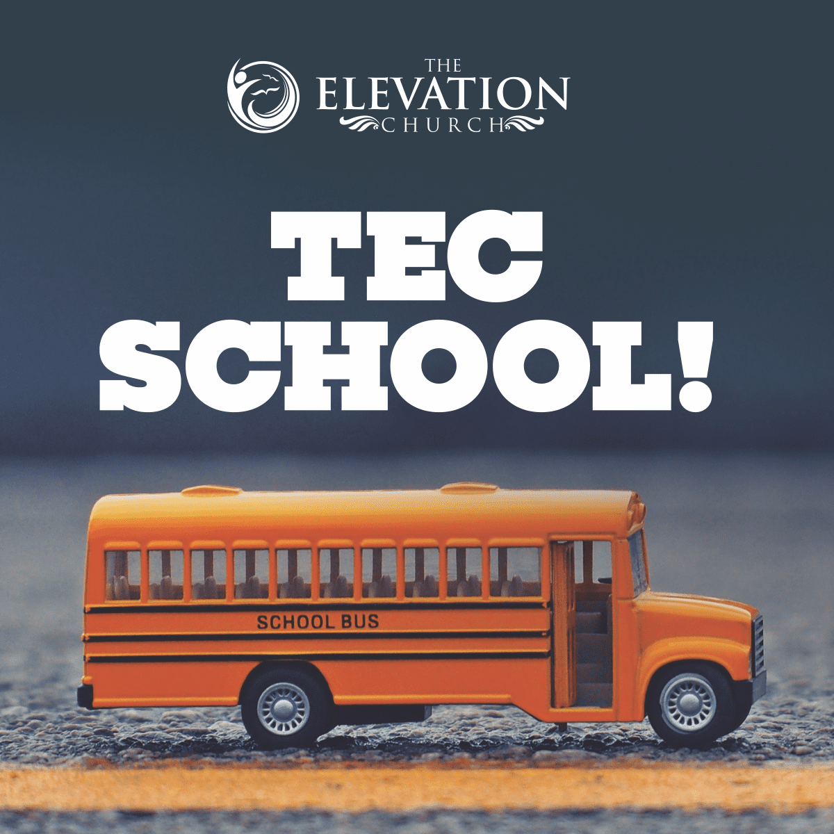 TEC Schools cover image